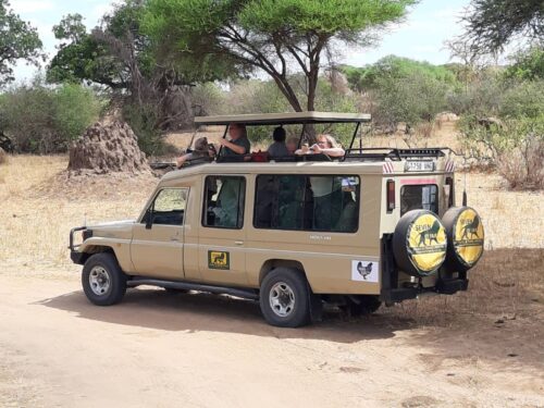 SAFARI TZ e1747500018103