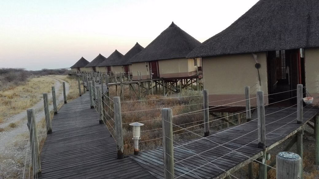 Salt Lick Lodge