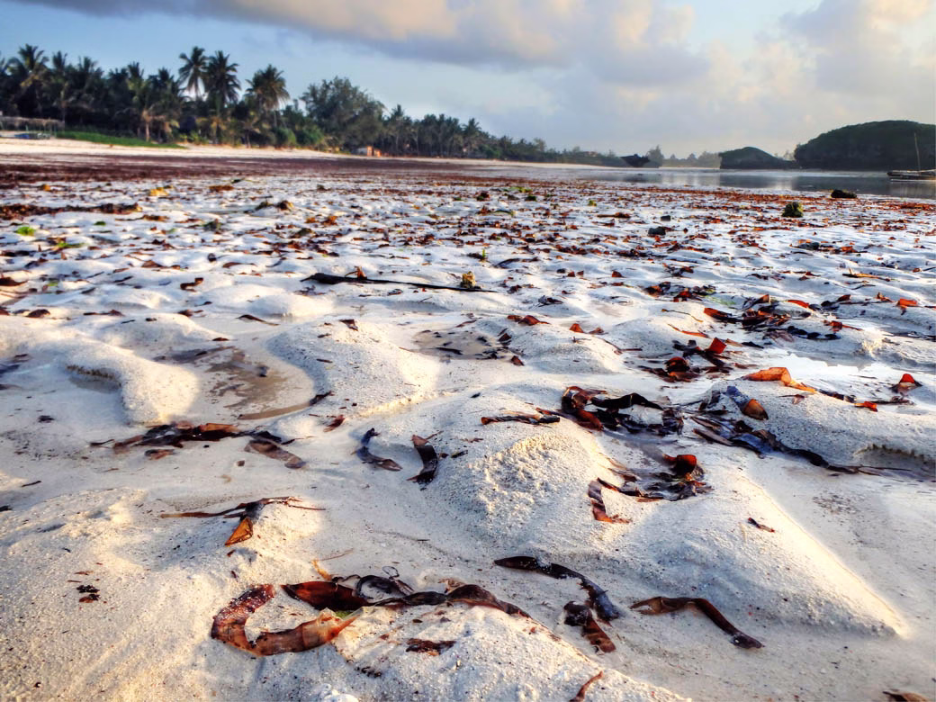 Watamu beach_low tides